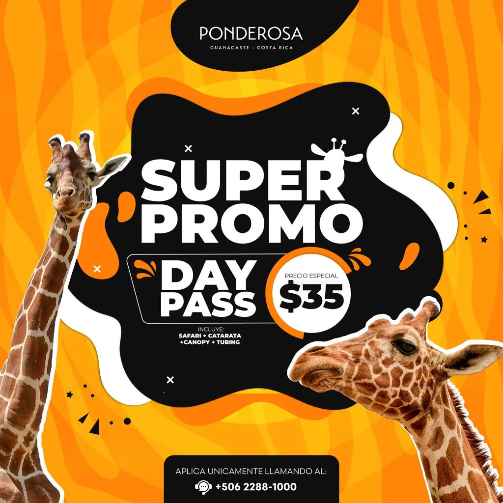 Super Promo Day pass