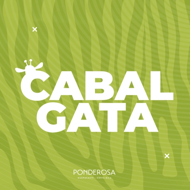Tour de Cabalgata en Ponderosa Costa Rica