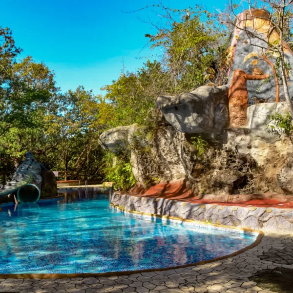 Disfruta de la piscina en Ponderosa