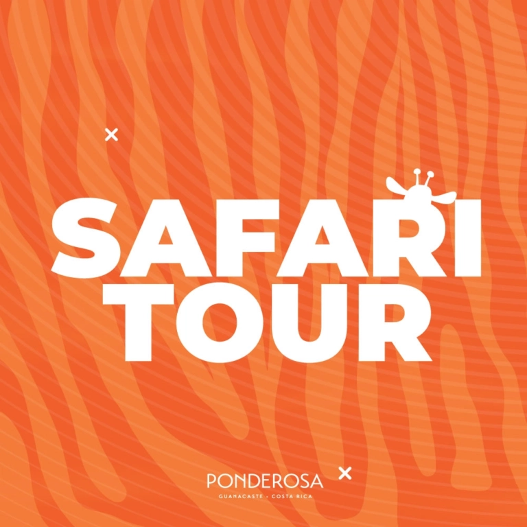Safari Tour en Ponderosa Guanacaste