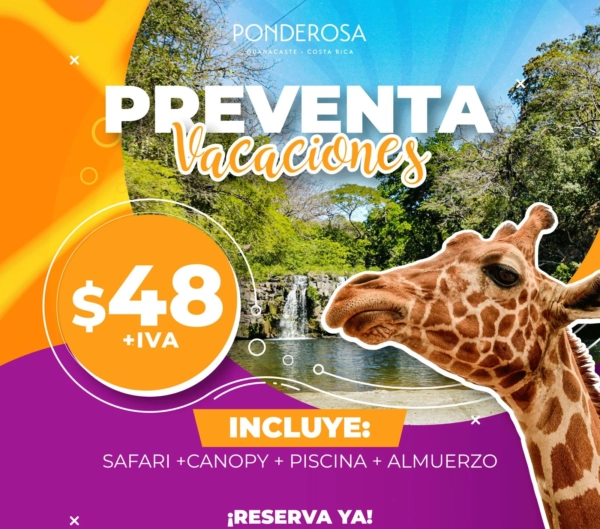 Preventa Vacaciones medio año