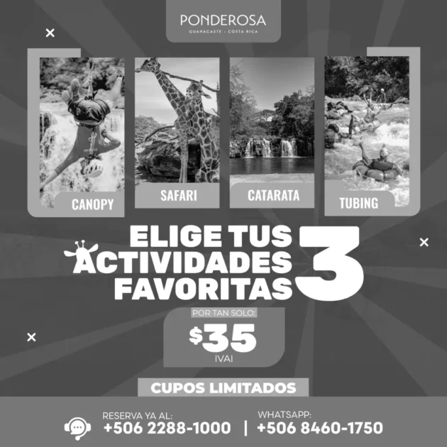 🦓🦒PROMOCIÓN ESPECIAL 🦒🦓 ‼️Por Tan Solo $35 Puedes Elegir Tus 3 Actividades FAVORITAS‼️