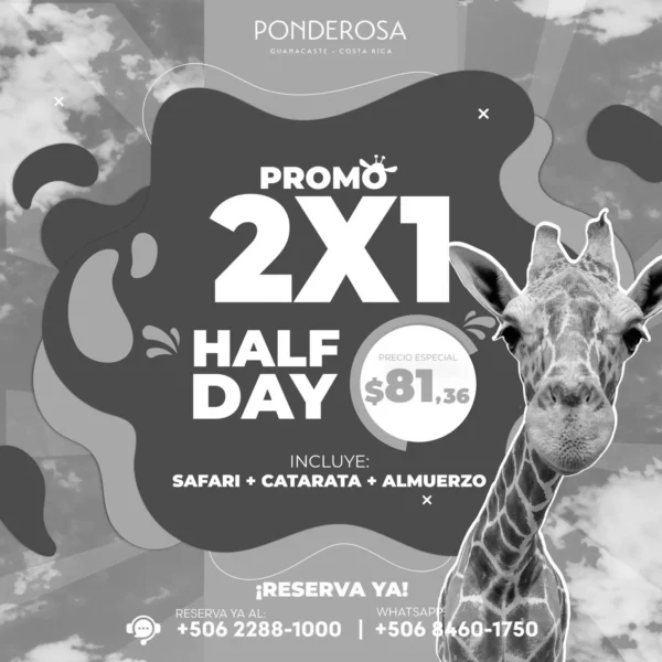 PROMOCIÓN 2X1 - HALF DAY