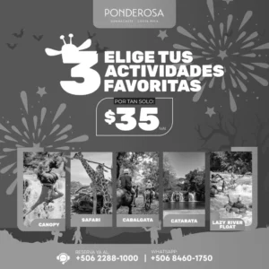 ❕❕Tus 3 Actividades FAVORITAS❕❕ Por Tan Solo $35 IVAI