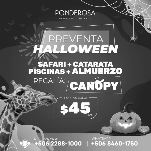 PREVENTA HALLOWEEN 🦒🎃