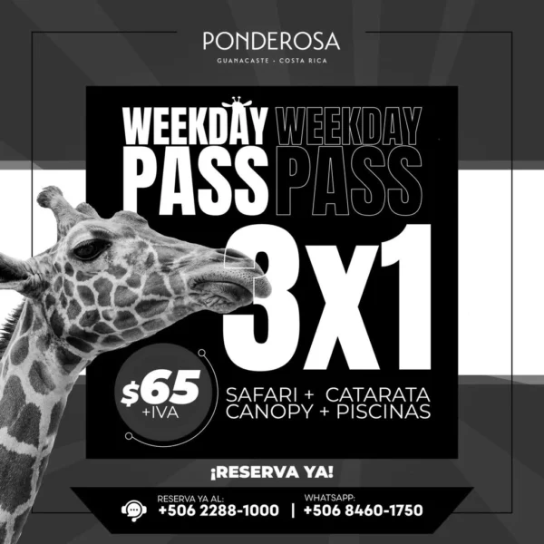 Black Friday! En Ponderosa Costa Rica