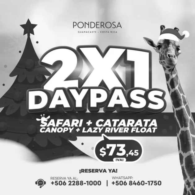 Day Pass 2X1 Por Tiempo Limitado‼️