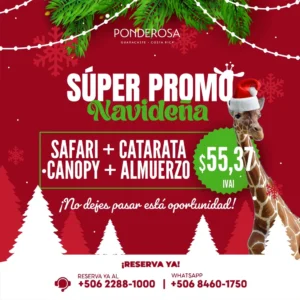 Super Promo Navideña!