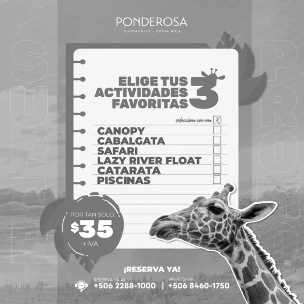 3 Actividades Favoritas en Ponderosa