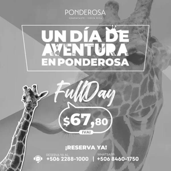 Un dia de Aventura en Ponderosa