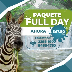 Enero con Full Day Promo en Ponderosa!