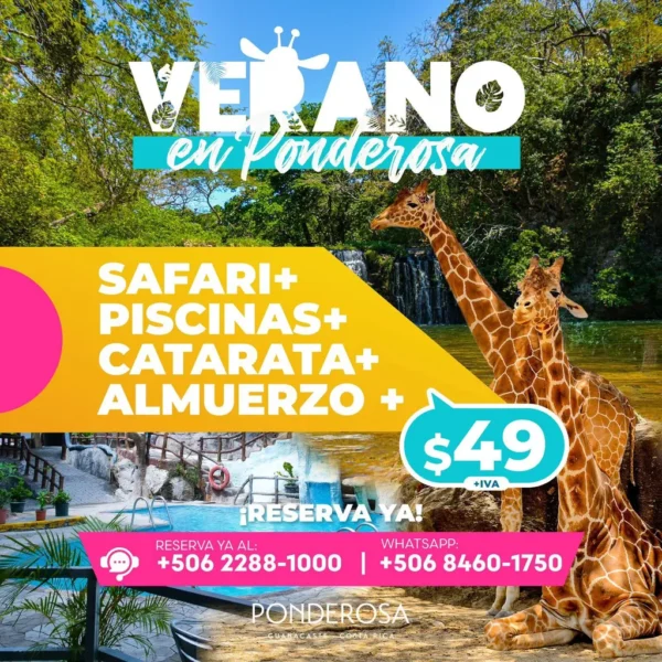 Verano Ponderosa