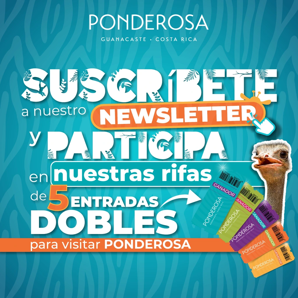 ¡Suscríbete a nuestro newsletter y gana!