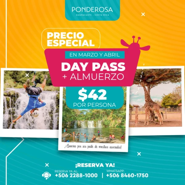 Promo Asociacion Solidatista Mar 02 2025