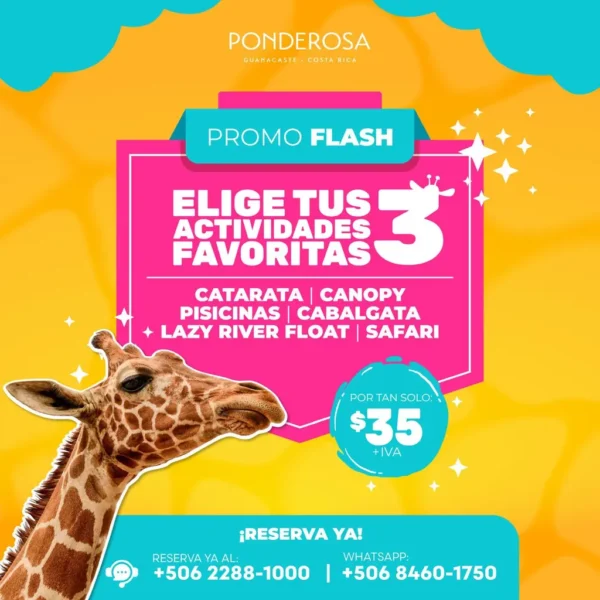 ¡Elige tu aventura en Ponderosa! 3 actividades por solo $35 + IVA