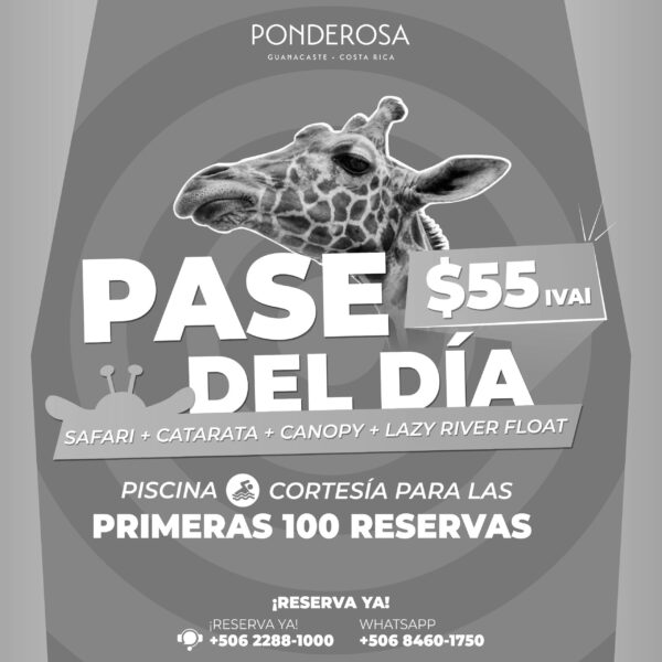Pase del día en Promo!