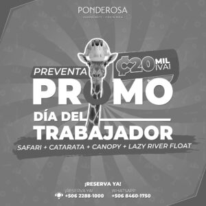 Promoción del Día del Trabajador!
