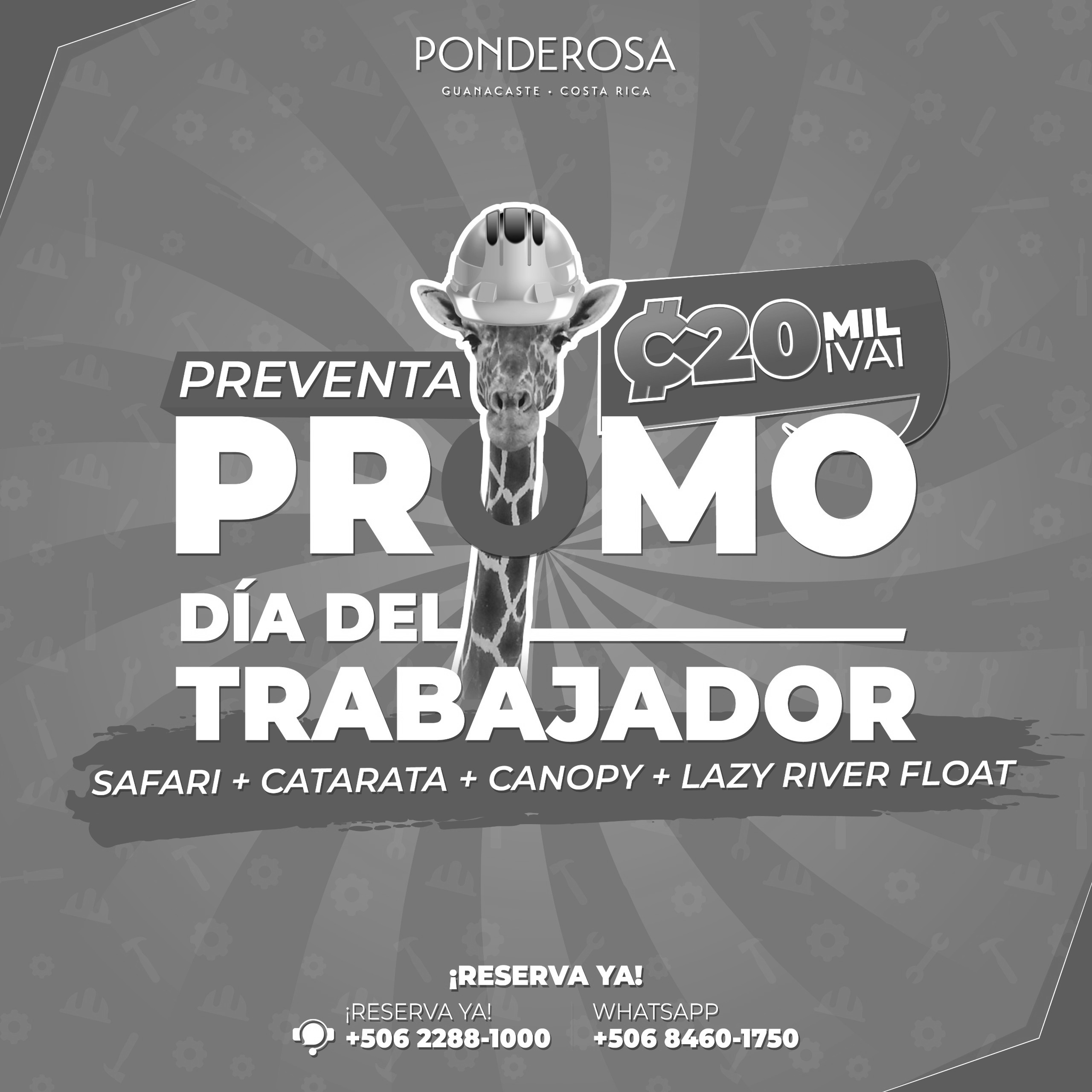 Promoción del Día del Trabajador!