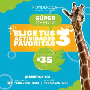 3 Actividades Favoritas en Mayo