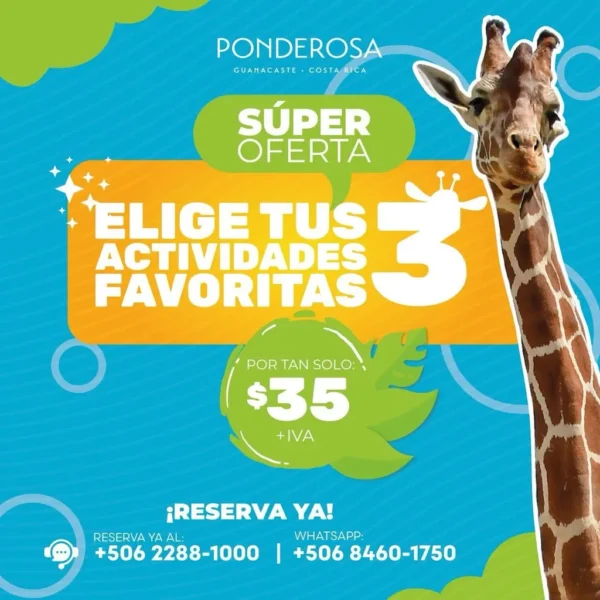 3 Actividades Favoritas en Mayo