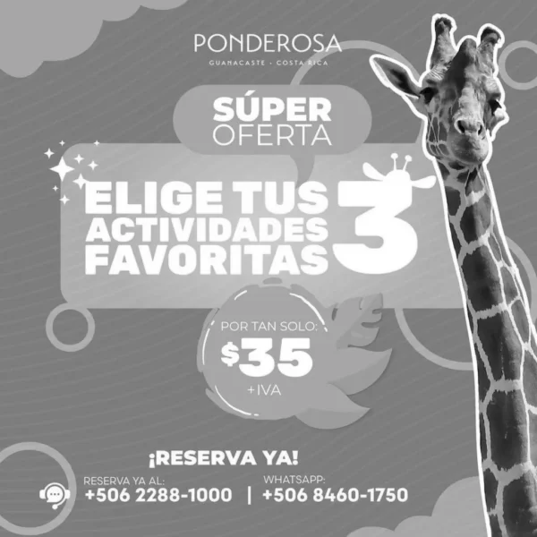 3 Actividades Favoritas en Mayo!