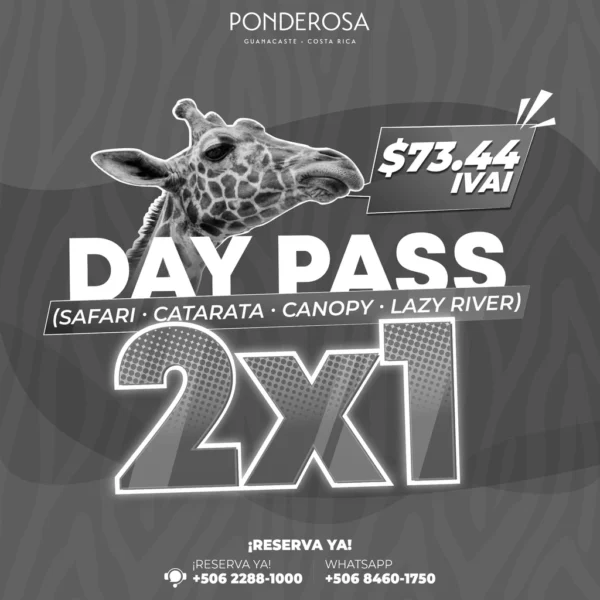 OFERTA ESPECIAL 2x1 En Ponderosa 🎉🎉🎉