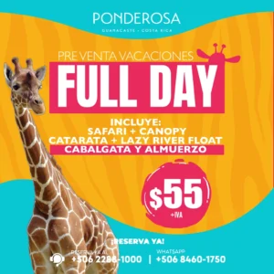 PREVENTA para las Vacaciones de Medio Año
