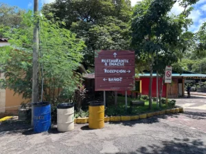 Reciclaje con impacto: el compromiso ambiental de Ponderosa