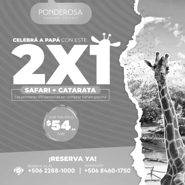 Safari + catarata por el precio de uno. ¡Y hay regalo sorpresa!