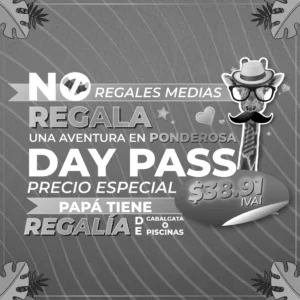 Regalale un dia de aventura a Papa!