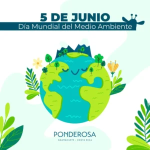 5 de junio: Día Mundial del Medio Ambiente