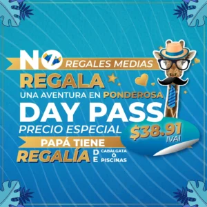 Regalale un dia de aventura a Papa!