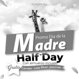 Día de la Madre en Ponderosa!