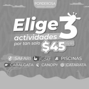 REGALÁ MOMENTOS INOLVIDABLES EN PONDEROSA