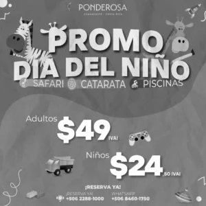 Día del Niño con una Aventura Inolvidable