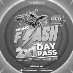 Day Pass de Ponderosa en 2x1