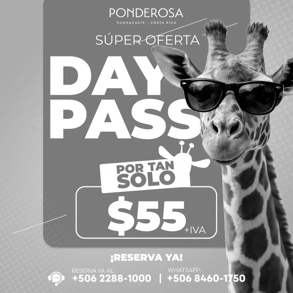Day Pass de Semana Santa
