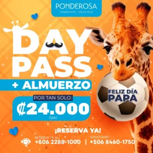 Especial Día del Padre: Aventura y Almuerzo en Ponderosa