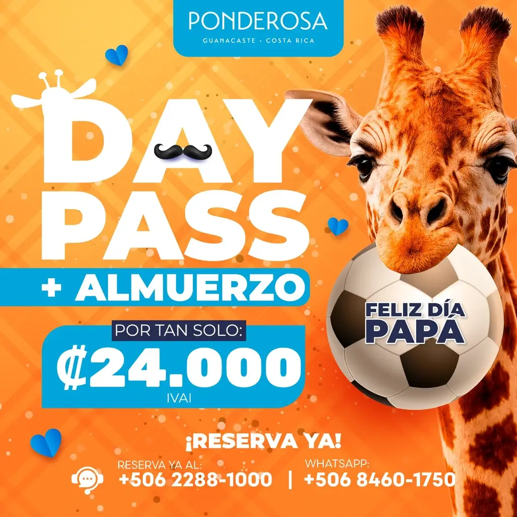 Especial Día del Padre: Aventura y Almuerzo en Ponderosa