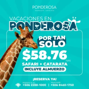 Vamos de Vacaciones de Medio Año a Ponderosa