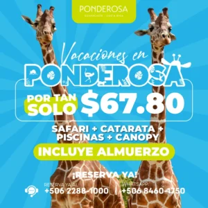 Vacaciones de Medio Año en Ponderosa