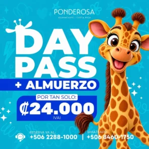 Promo Día del Niño: Day Pass Completo + Almuerzo