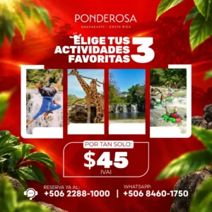 Promo Tres Actividades: Armá Tu Aventura Favorita