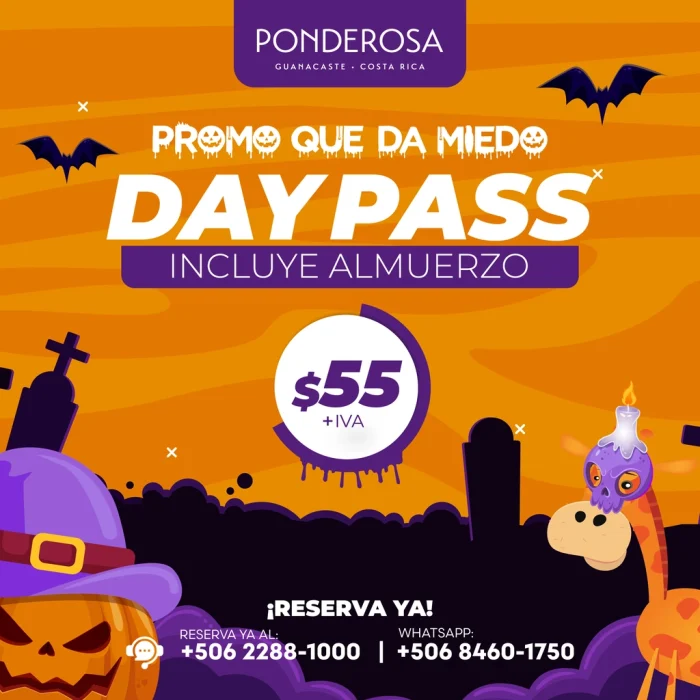 PASE DEL DÍA POR TAN SOLO $55