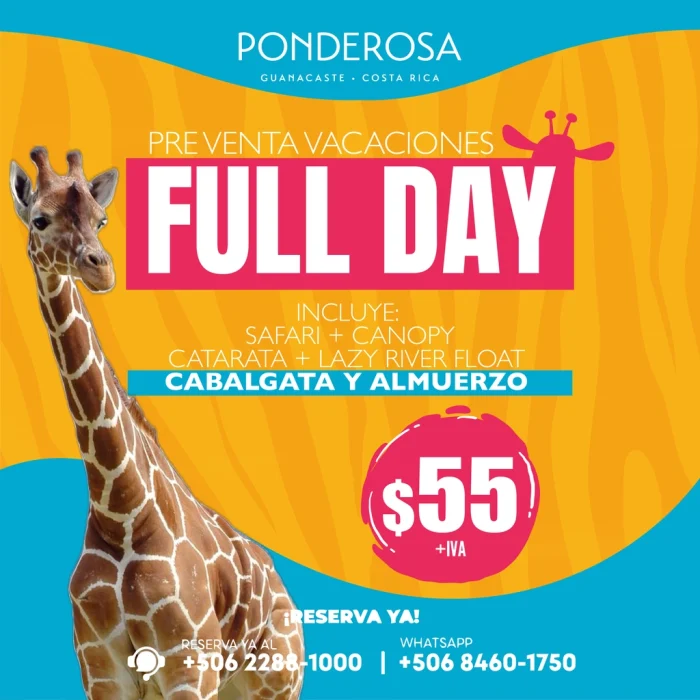 PREVENTA para las Vacaciones de Medio Año