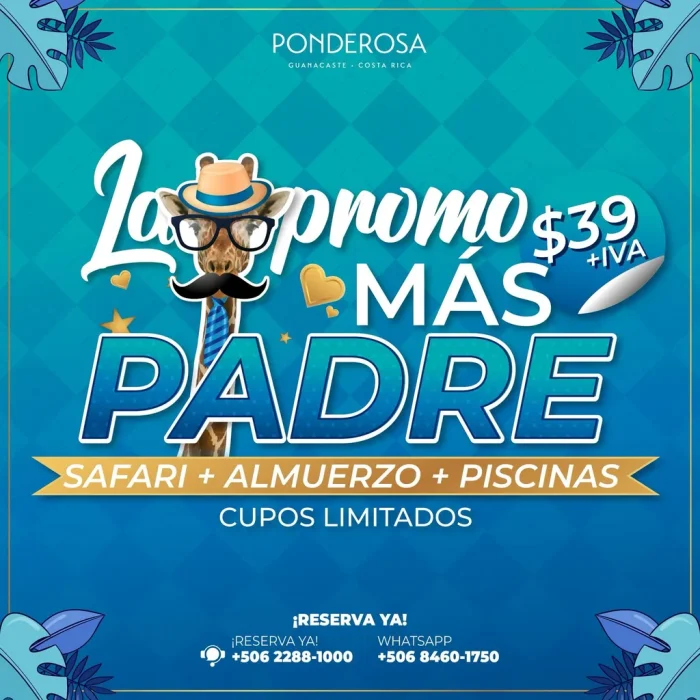 Promo Dia del Padre